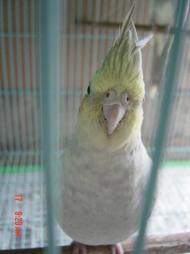 該減肥的小毛!!!