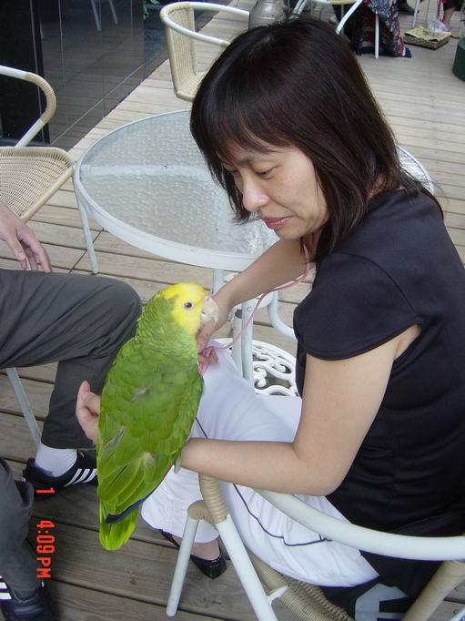 8/1鳥聚