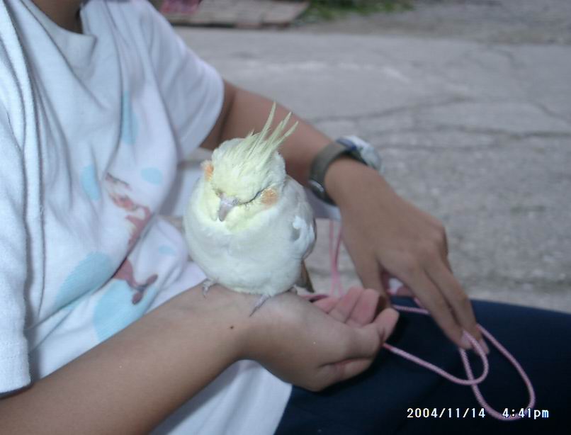 出遊好累喔~~