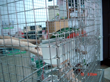 國王的新家3