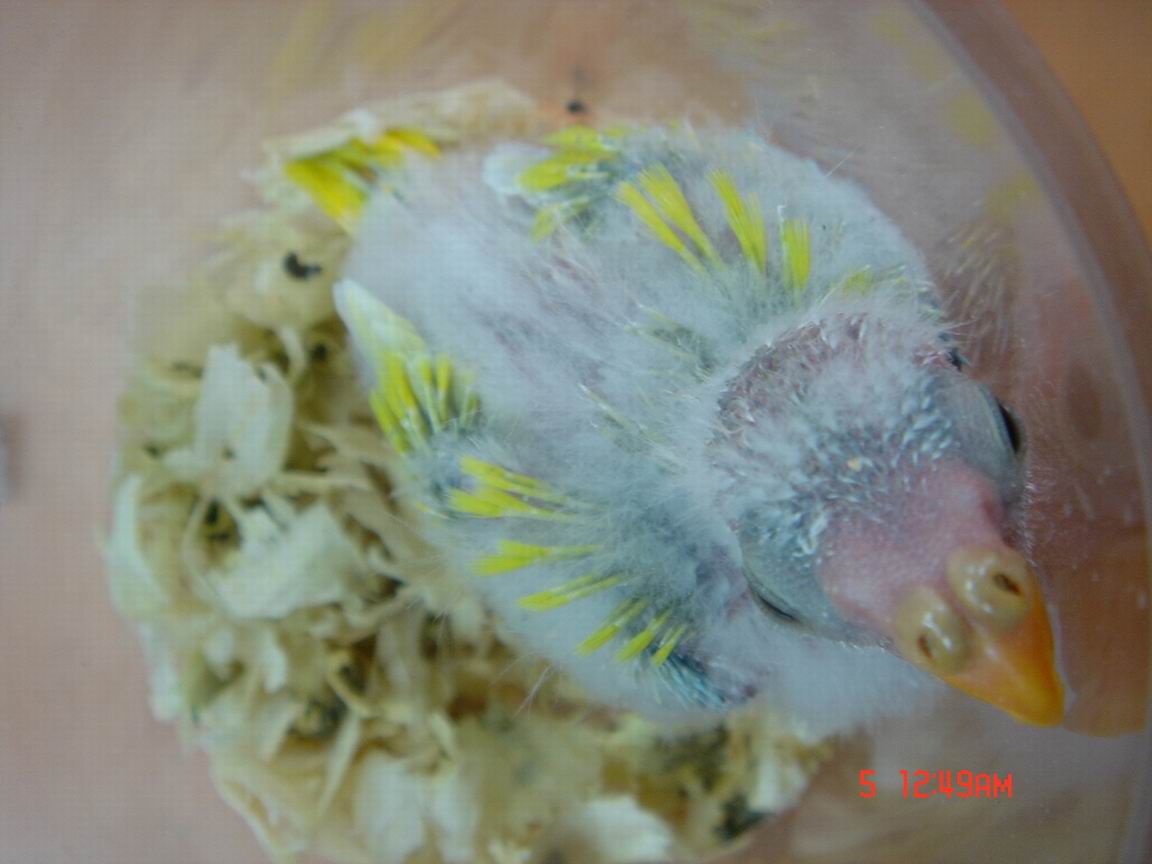 換個角度