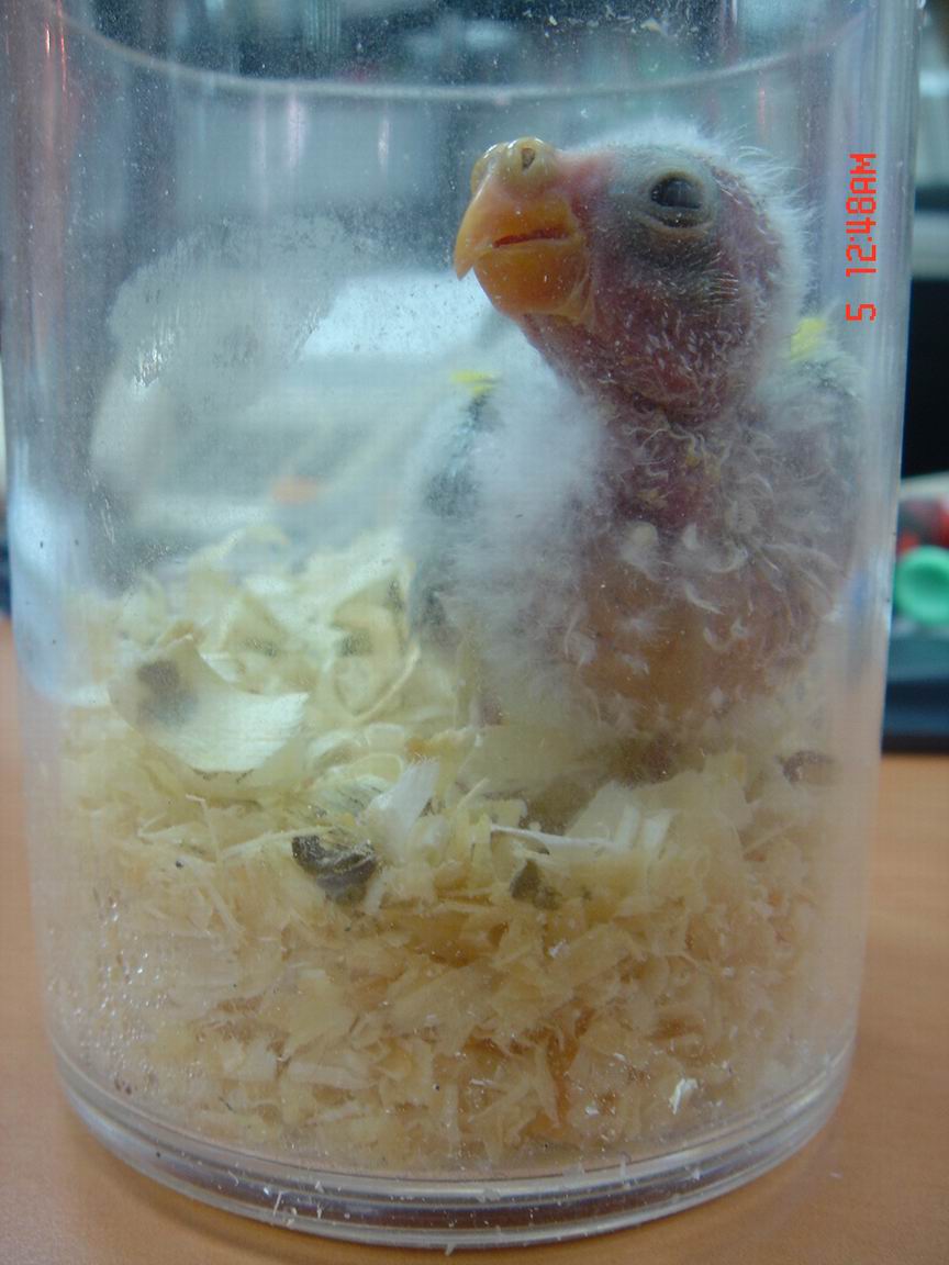 我不是被虐待喔~~