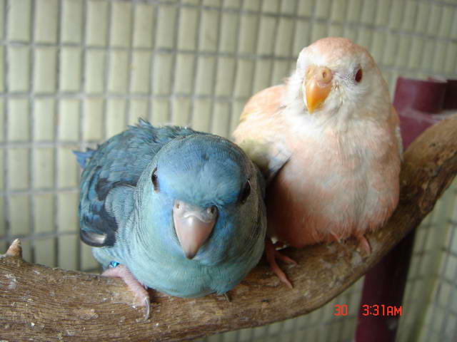 在來一張...