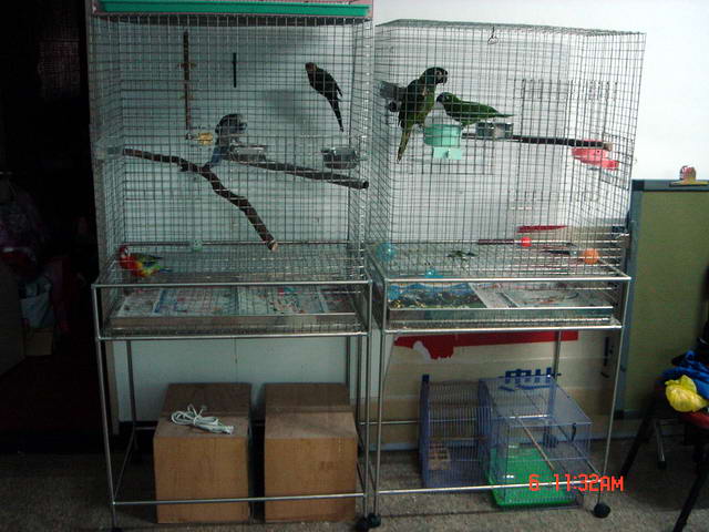 鳥的伯爵山莊~~