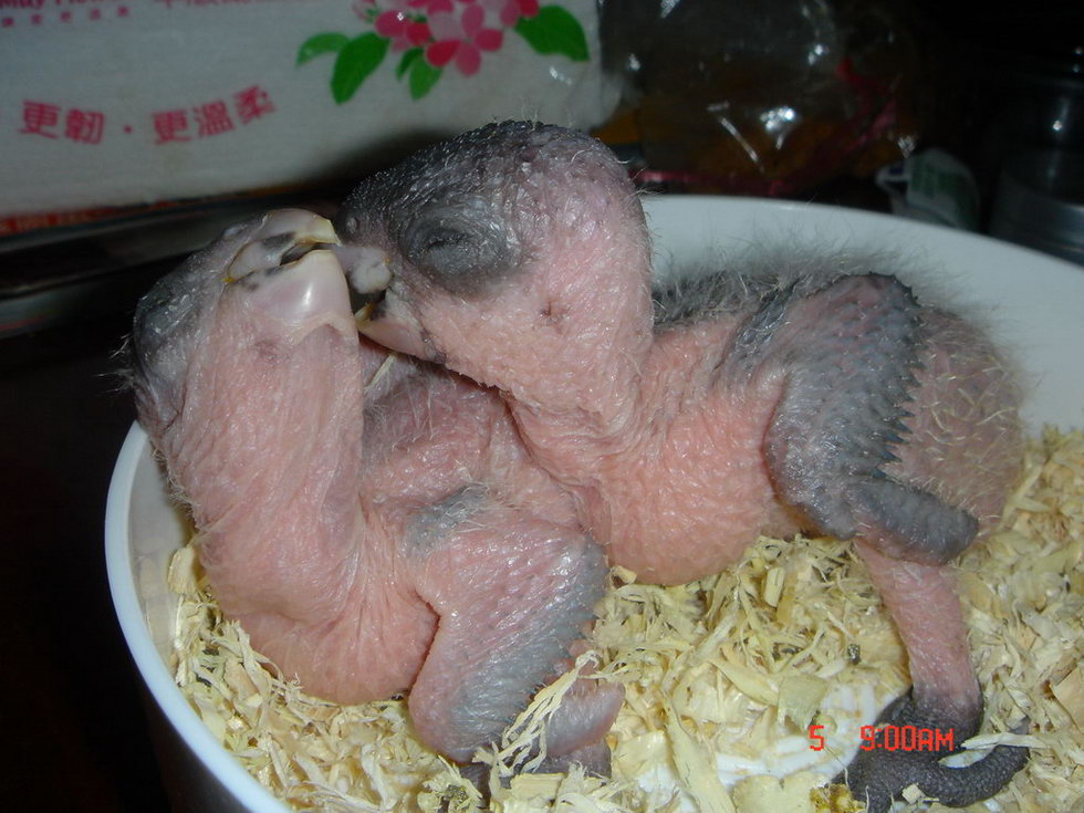 兄弟照~~