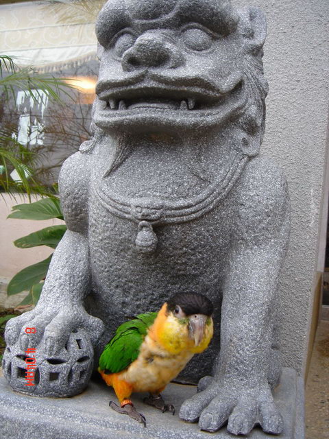 阿發尾牙行(大阪根)~~