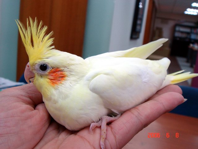小三的小孩