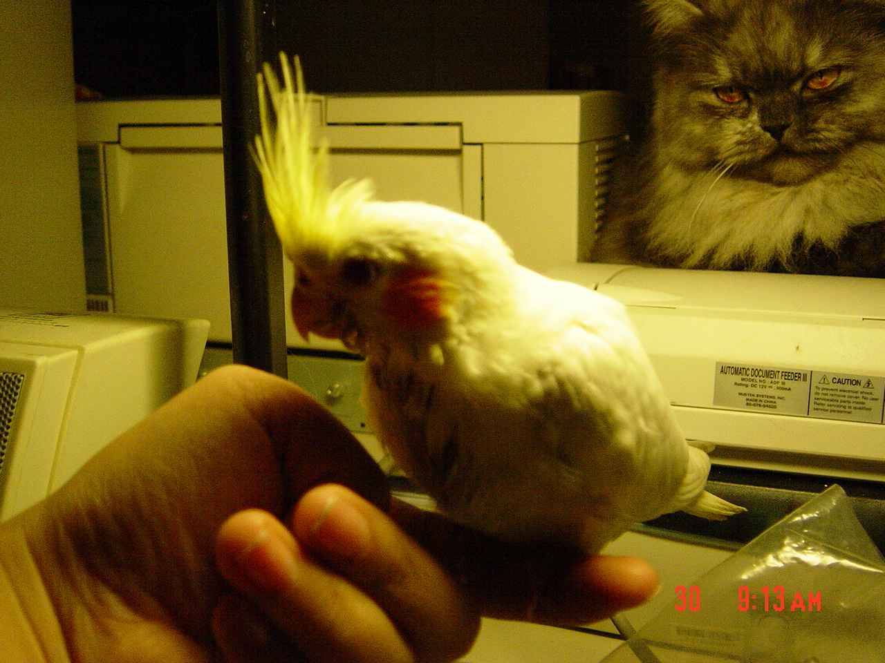 不要對我幹嘛喔