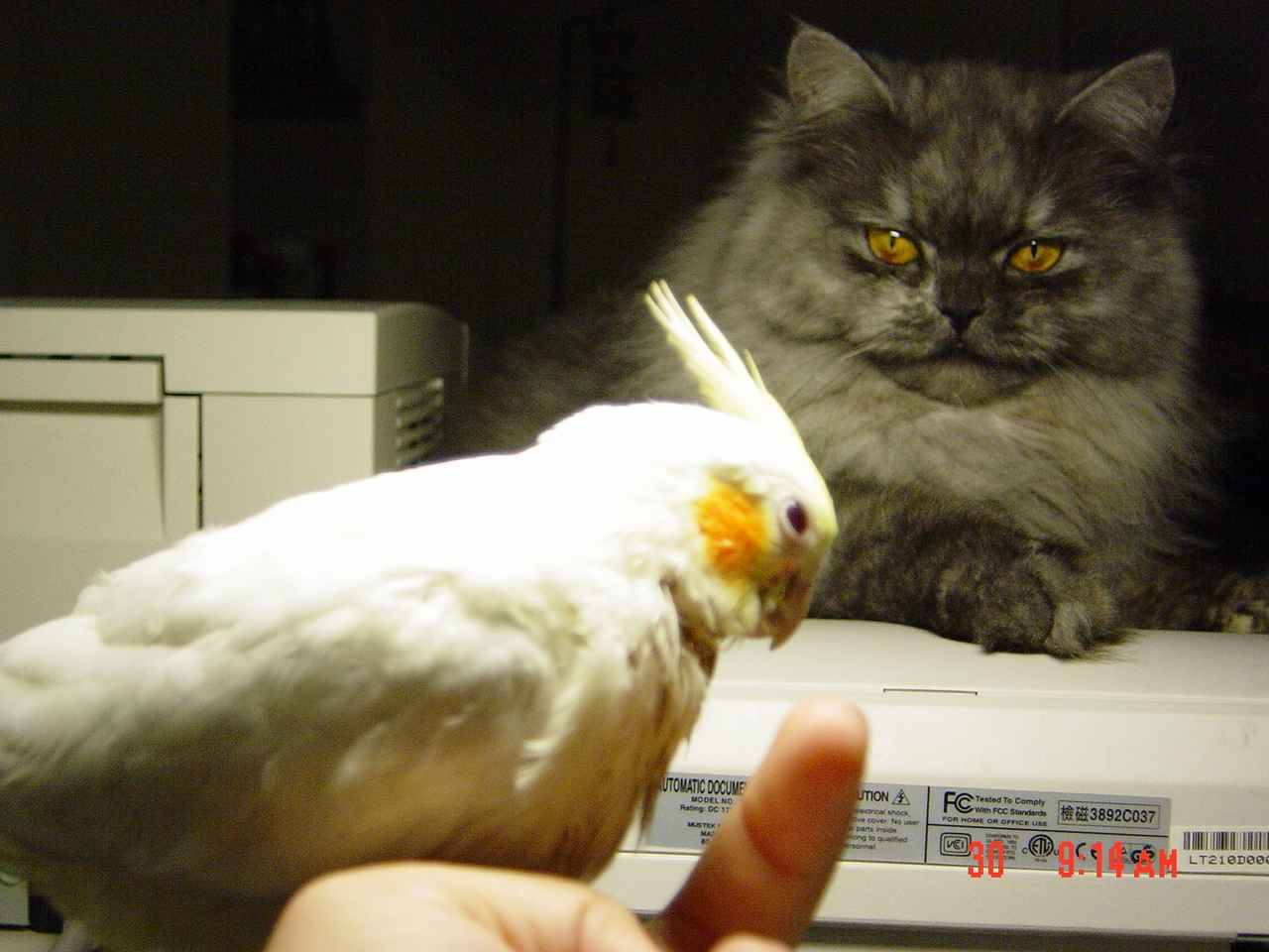 啊啊啊....快來了啦...