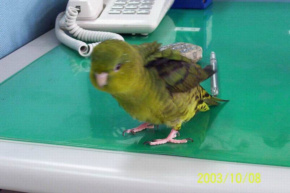 抖抖抖~~