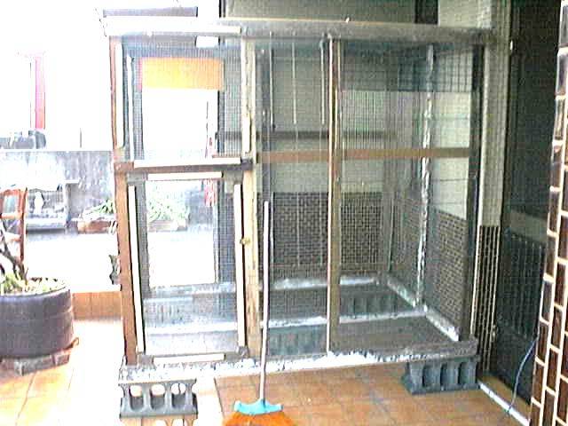 自己蓋鳥舍