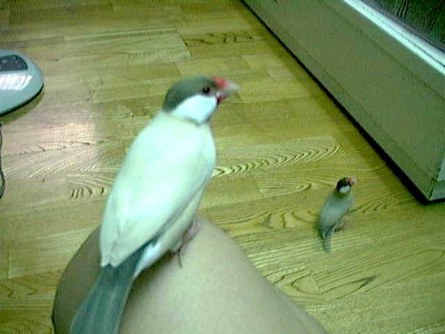 咦？