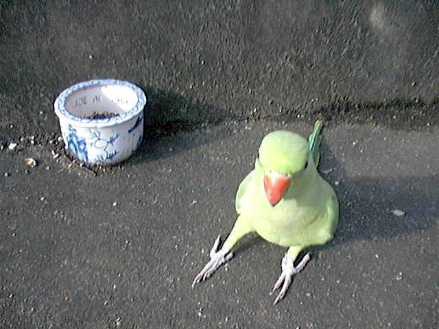 日光浴