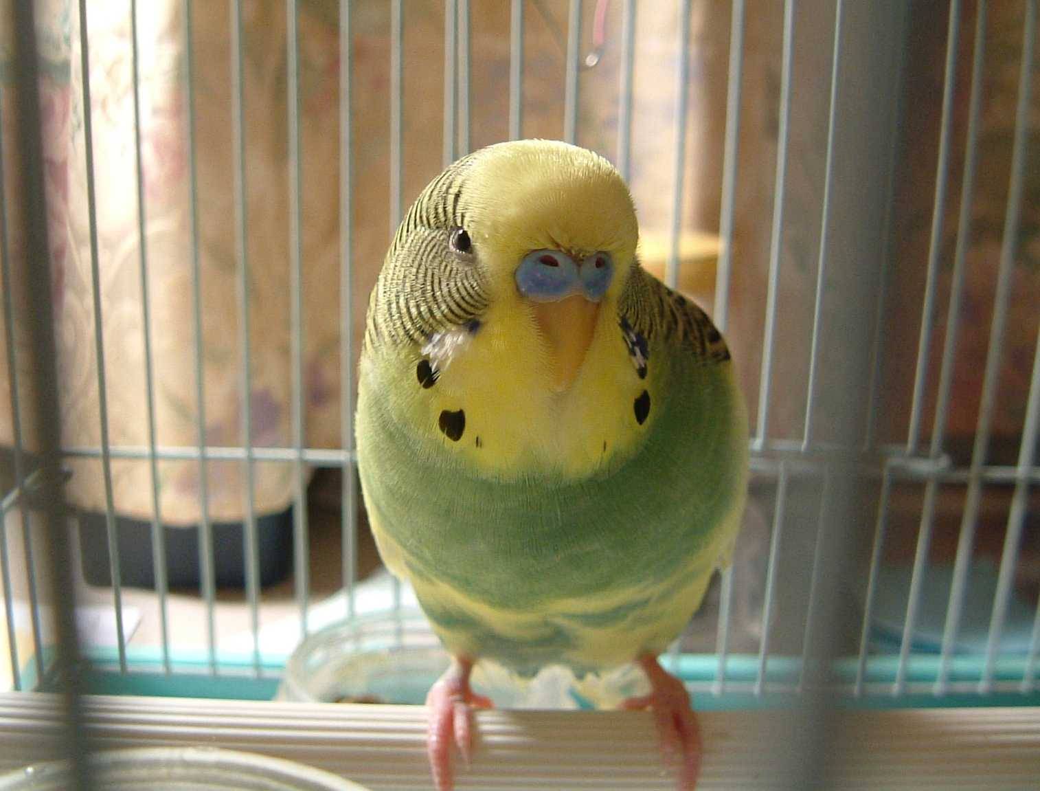 看啥..!