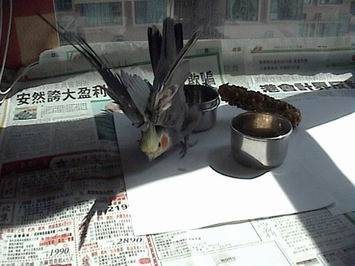 吃飽了,
