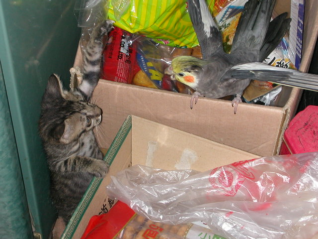 ~~~~很猛~~~~~