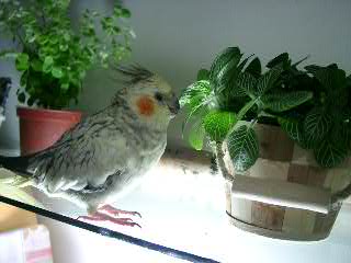 Photo 12254