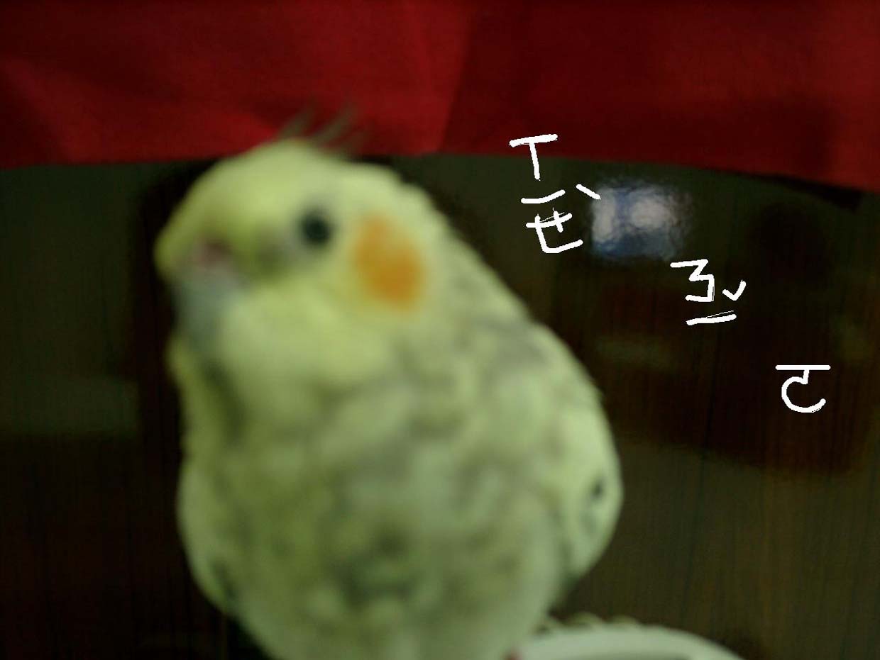 阿寶....*^-^*