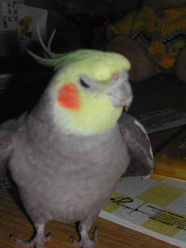 夠了