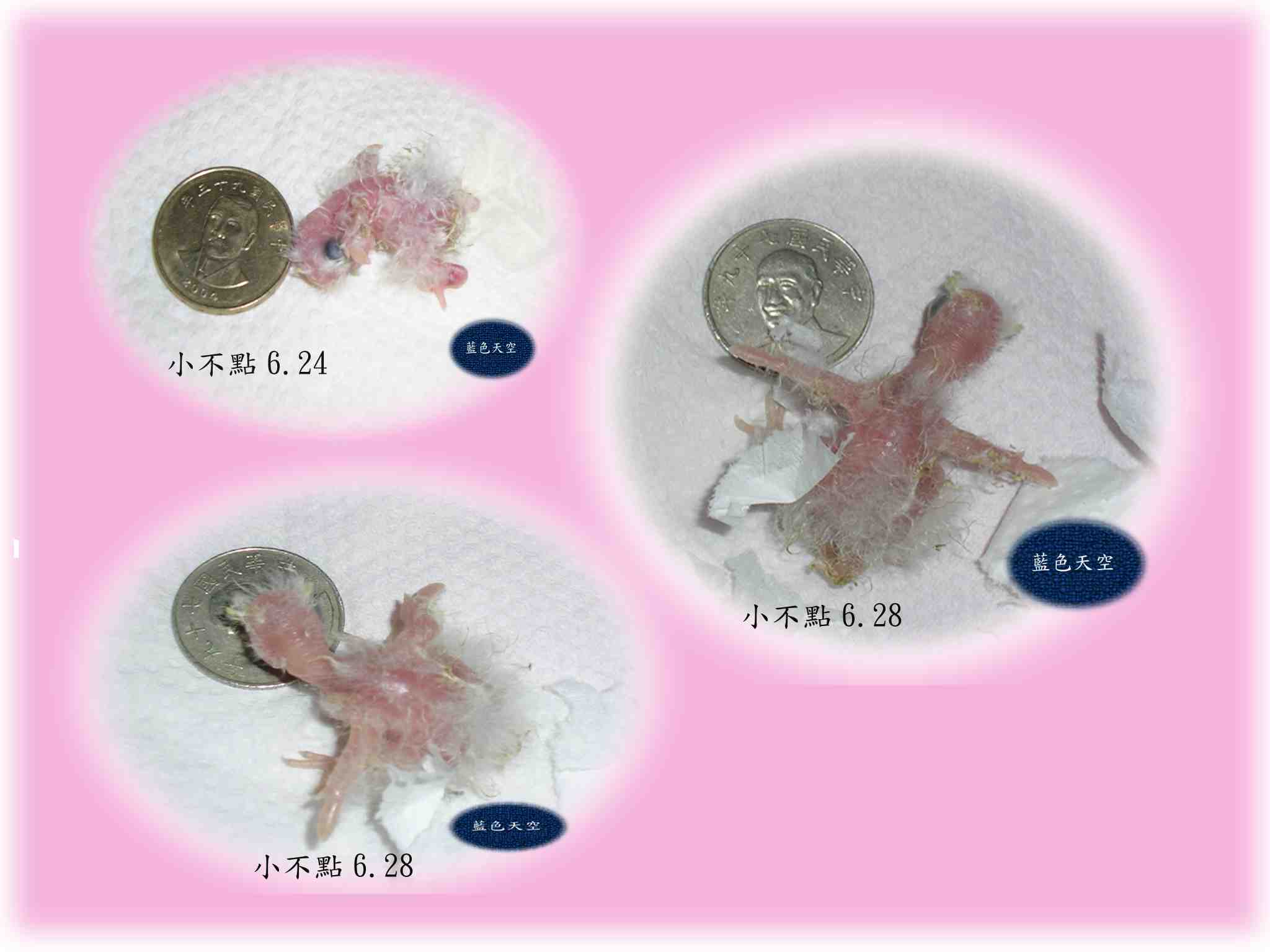 分享成長喜悅!