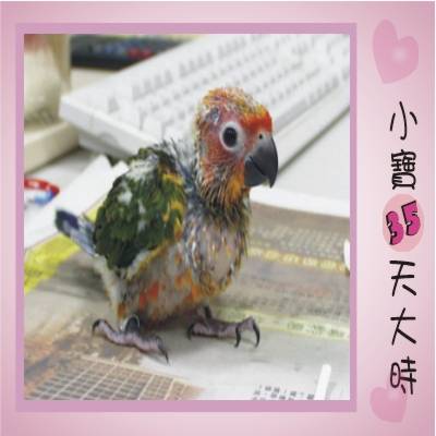 小寶長大了!