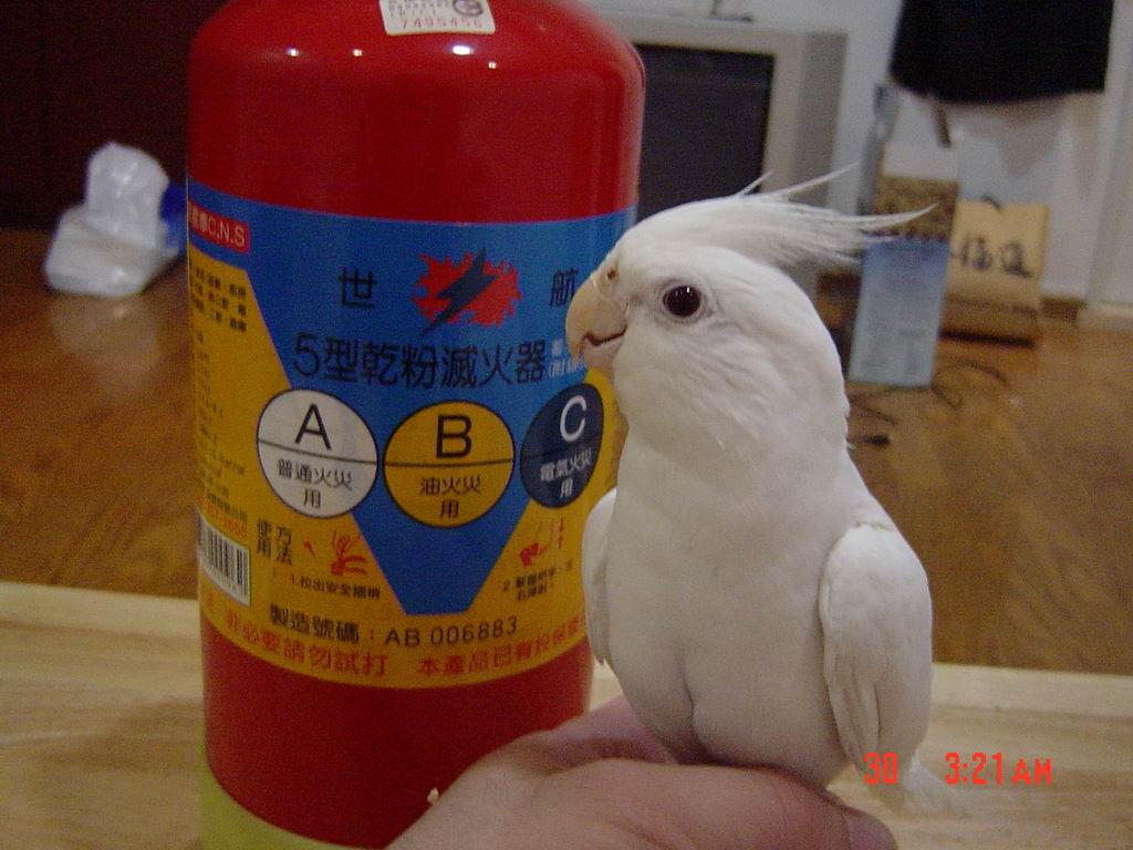 香香的推薦