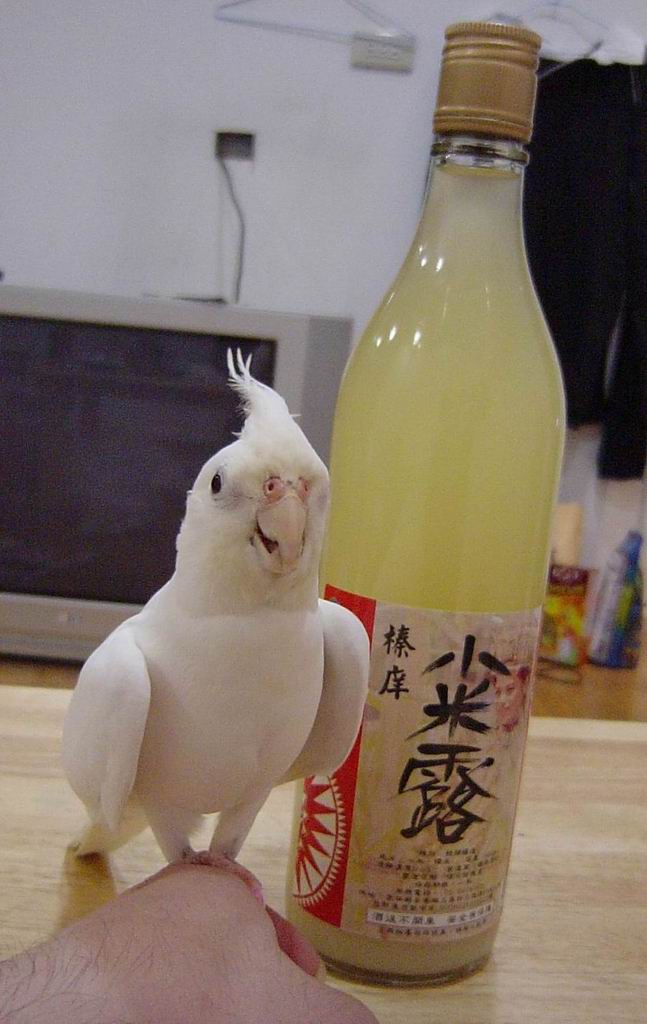 台灣才有的好味道～
