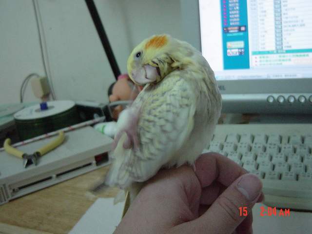 鼻子好癢...
