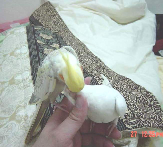 親一個!!!