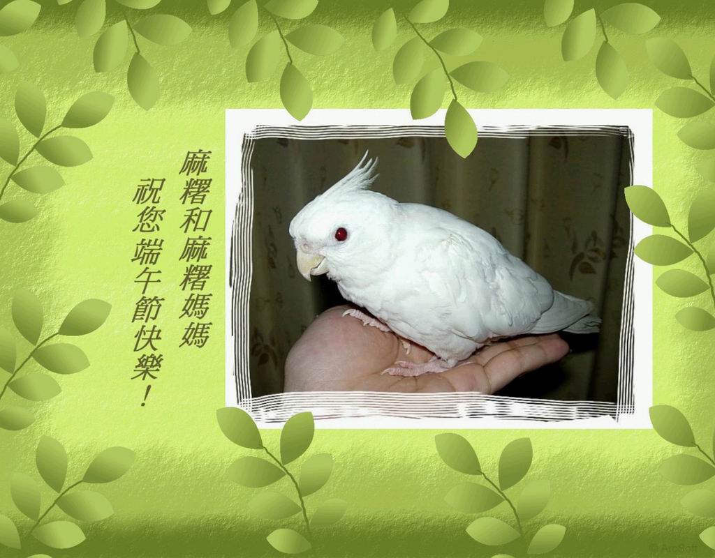 麻糬(喬恩)祝各位端午節快樂