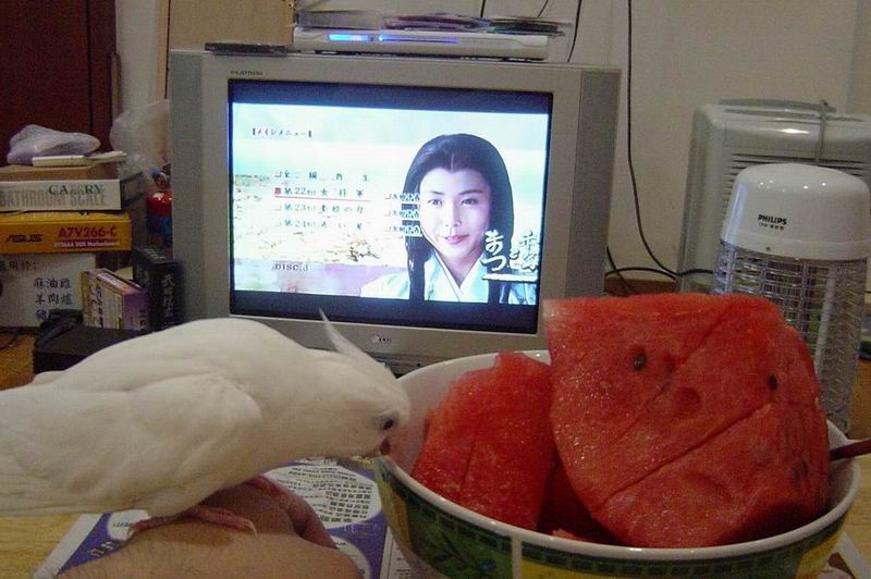 夏天最棒的事