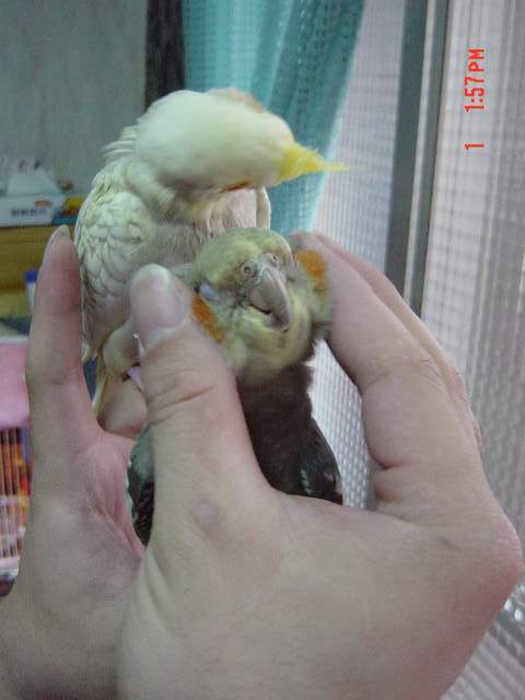 這才是人生ㄚ!