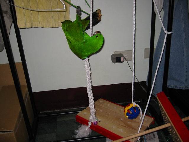 任務失敗