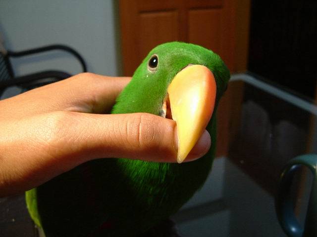 好久不見