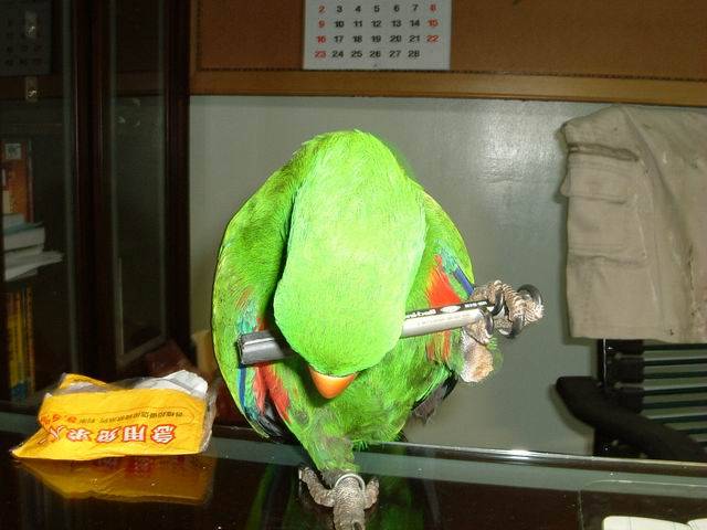 異種生物