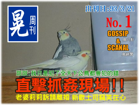 八卦雜誌