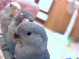 排排站~~~