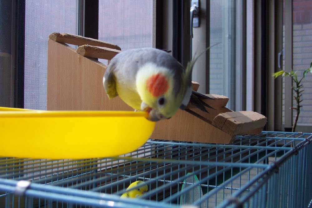 啃啃看