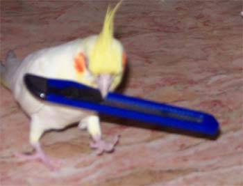 拿不動了