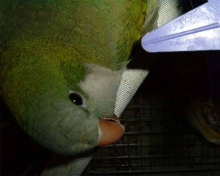 恰北北ㄜ難