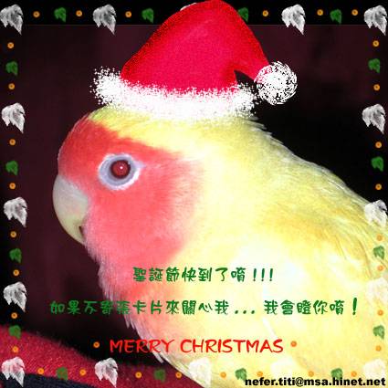 聖誕baby