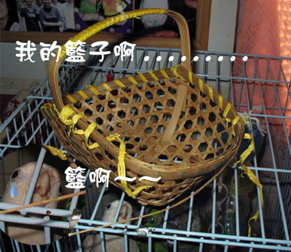 被破壞的很慘的籃子