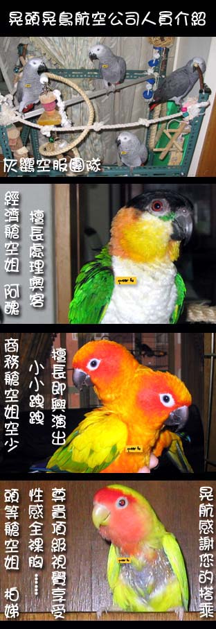 晃航空服團隊介紹