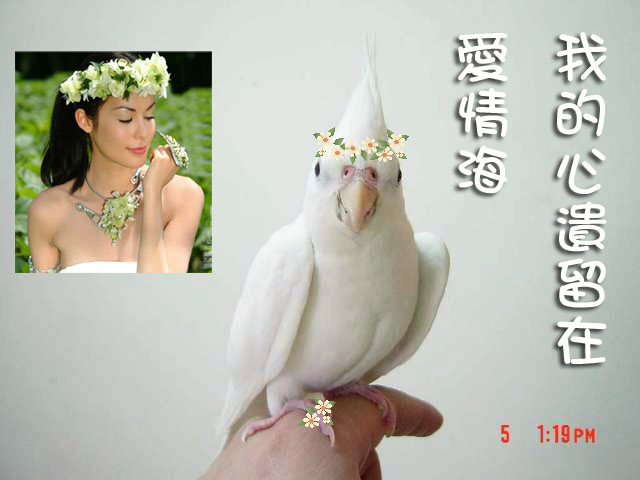 幫小玉兒追捲毛~希臘風