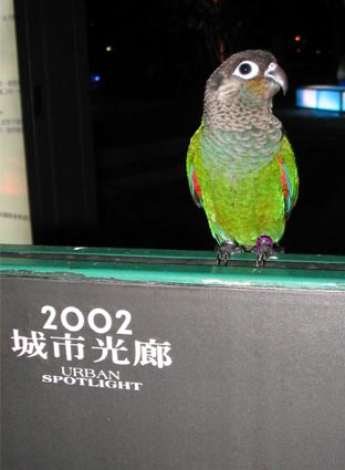 城市光廊