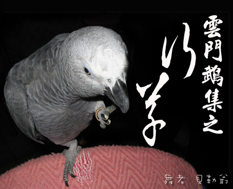 雲門鵡集之行草