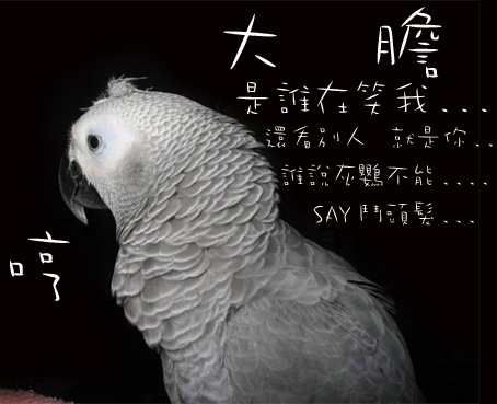 哼哼哼.....我也要裝可愛