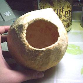 椰子鳥窩3
