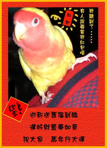 新年baby