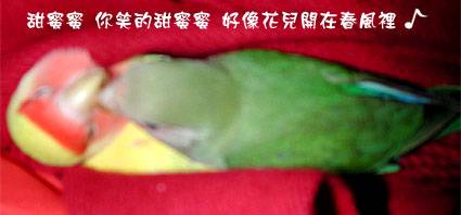 婚前